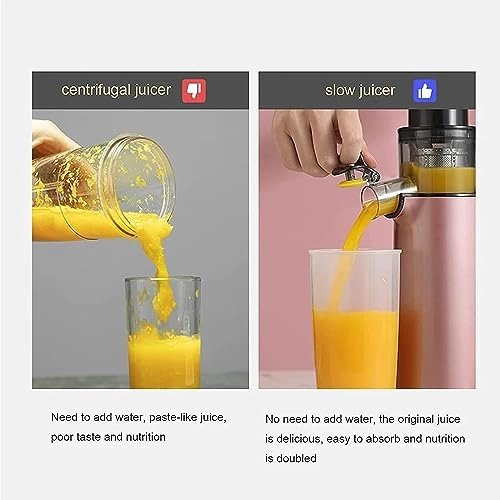 masticating juicer - 120W
