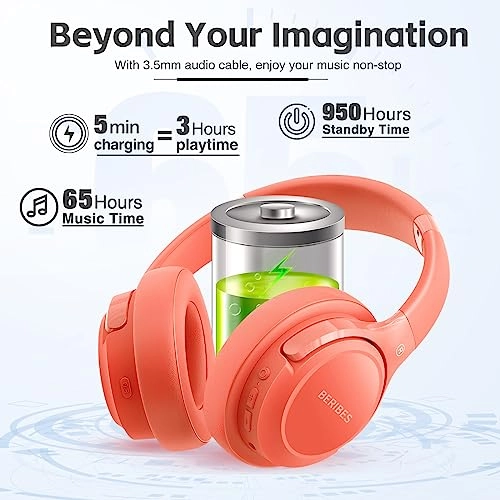 WH202A Wireless Headphone