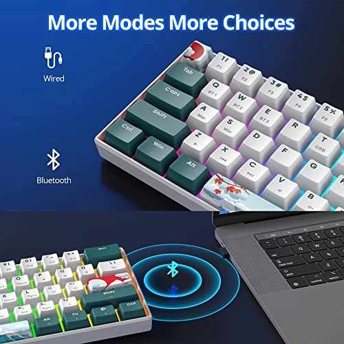 60% Wireless Mechanical Keyboard -  Wired/Wireless