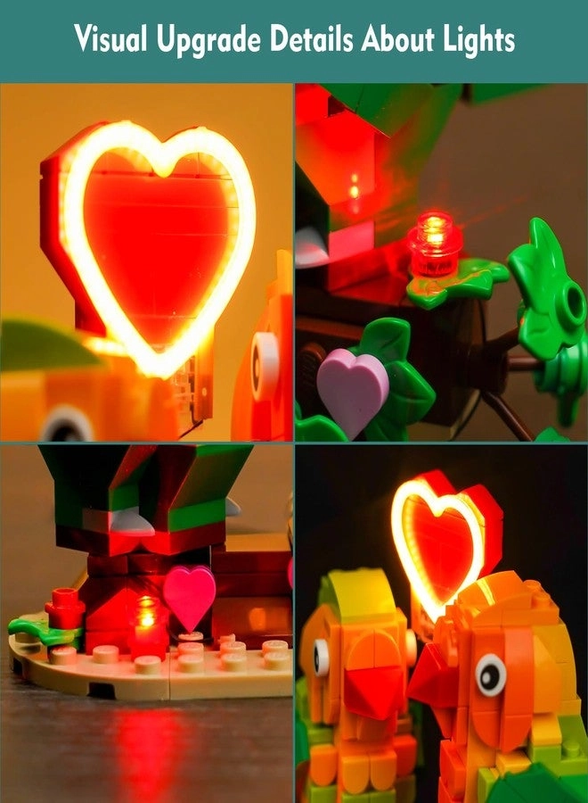 LED Light Kit - Compatible with LEGO-Valentine-Lovebirds-40522 Lights Only