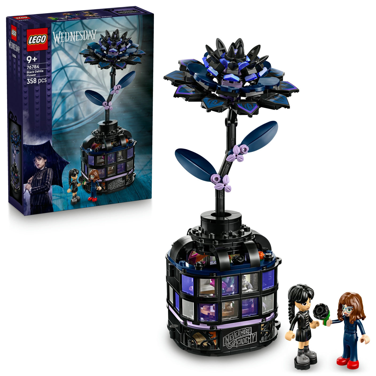 COLOR LAND CHILDRENS TOYS CENTER LLC Wednesday Black Dahlia Flower (76784)