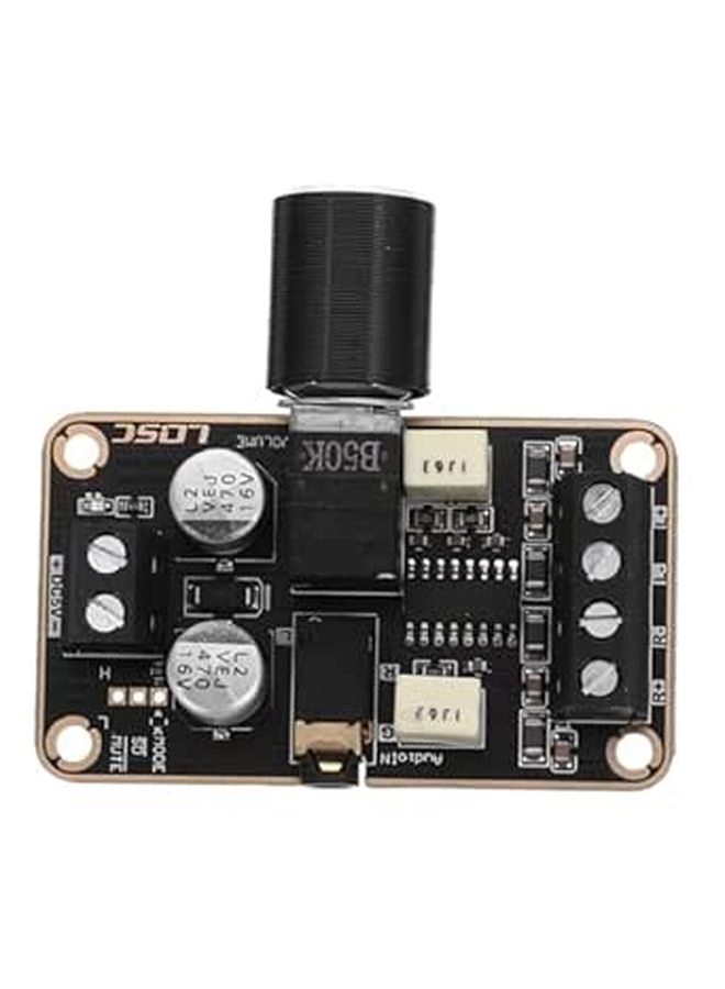 PRETYZOOM Amplifier Board - mono 5W