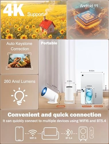 HY 300 RPO+ 200 ANSI lumens 1280 x 720 pixels