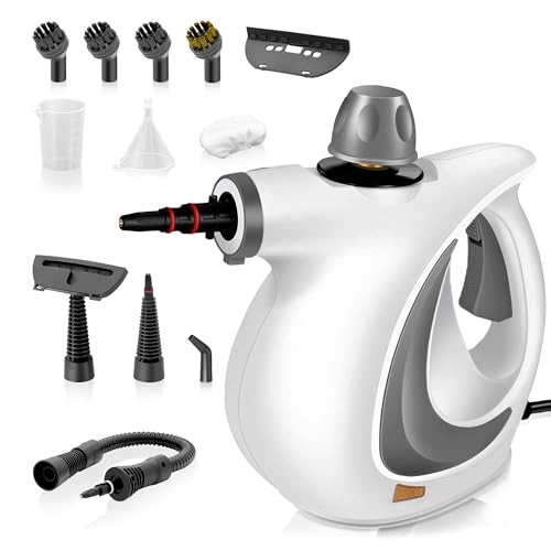 Steam Cleaner - 350ml