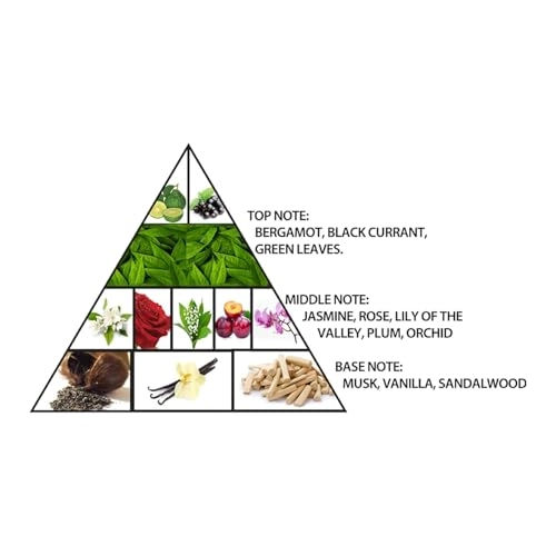 L’Aventure Gold - Eau de Parfum 200ml