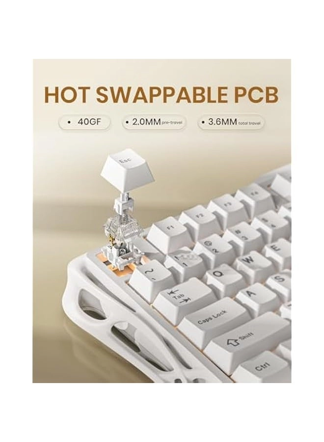 Mercury K1 Lite - Wired/Wireless