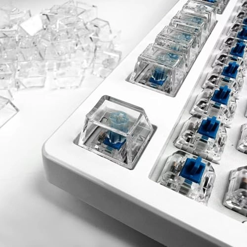 Blank Keycaps - 1U Cherry R4 20pcs Transparent