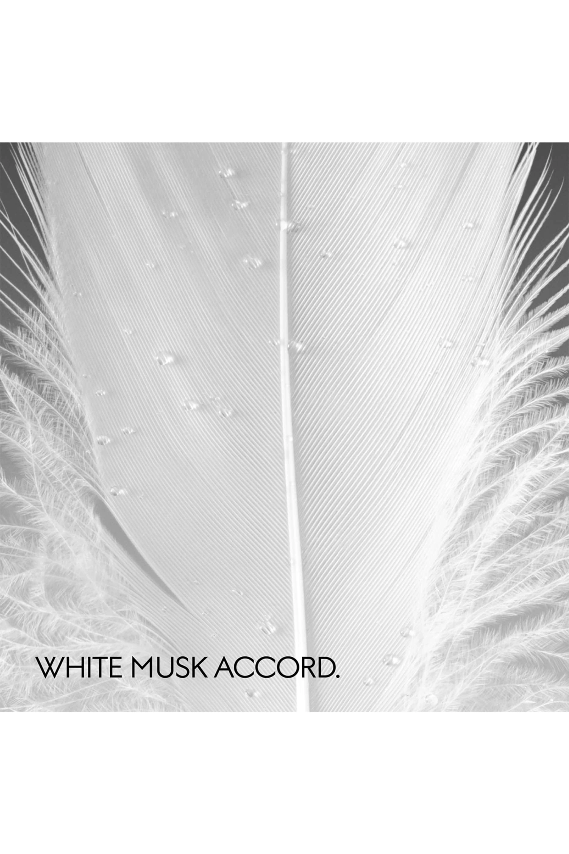 The Alchemist’s Garden Muschio di Luce Eau de Parfum 100ml