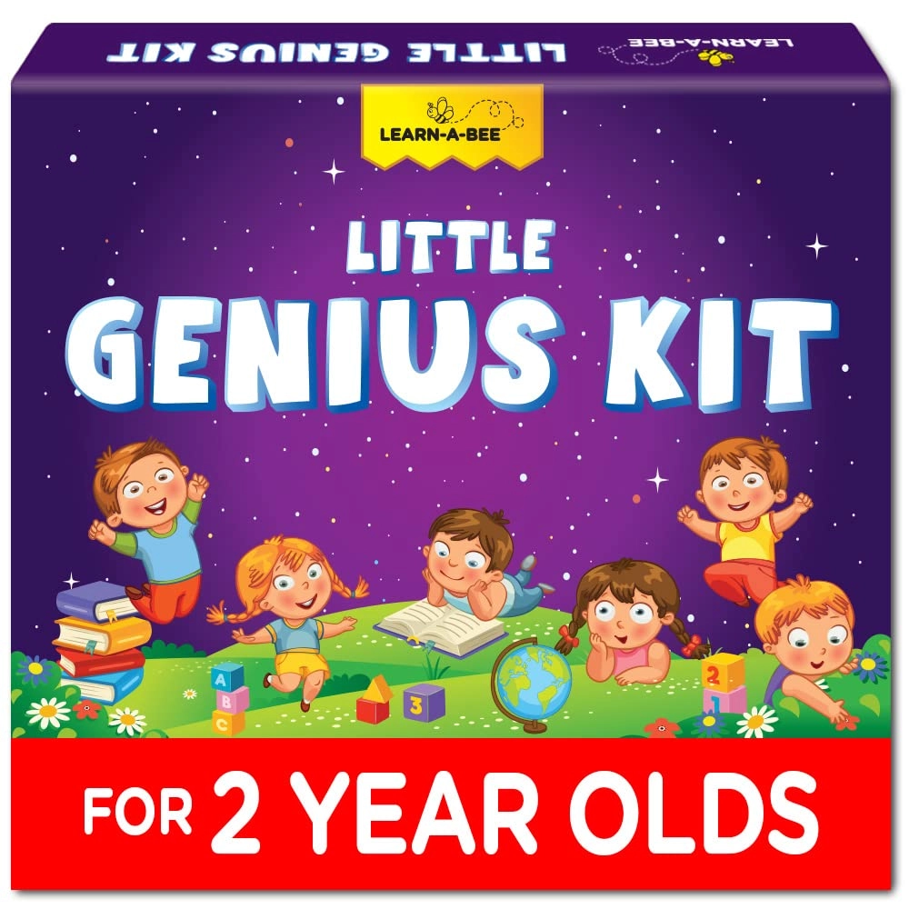 Metis Learning Solutions Private Limited EINSTEIN BOX - 2 Year Old 1 pieces