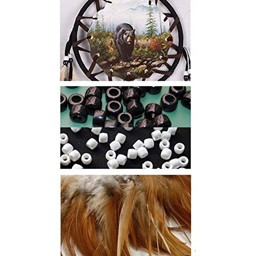 Dreamcatcher - Siderosphere, feathers, lines, wood beads.