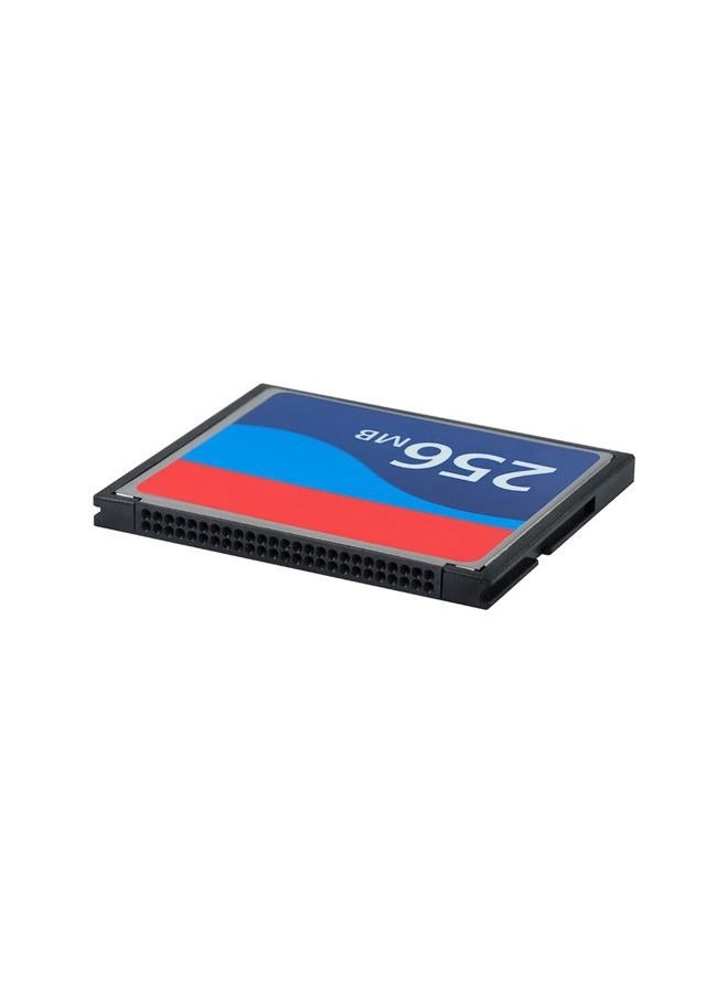 CompactFlash Memory Card - 0.25GB