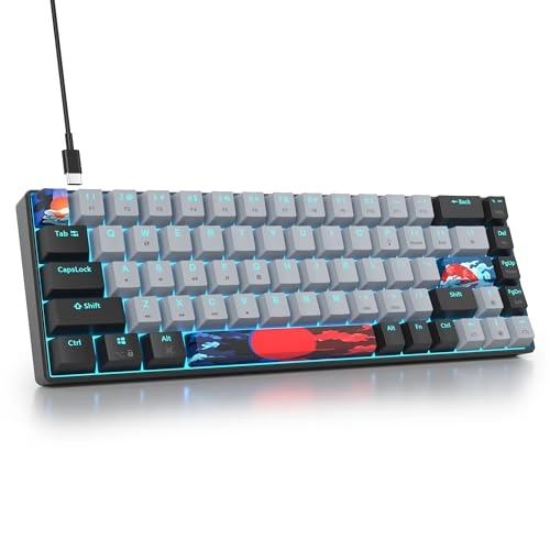 75% Mechanical Keyboard - EN Wired/Wireless