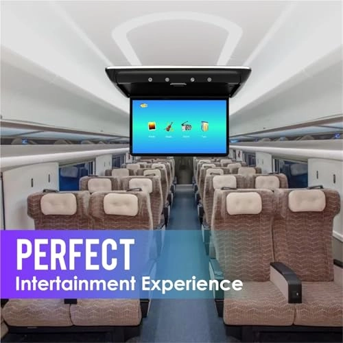 Car Roof Monitor - 15.6 Inch