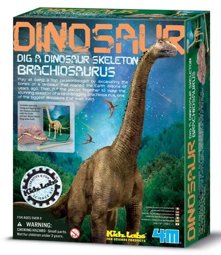 4M Branchiosaurus Skeleton - 8 years+