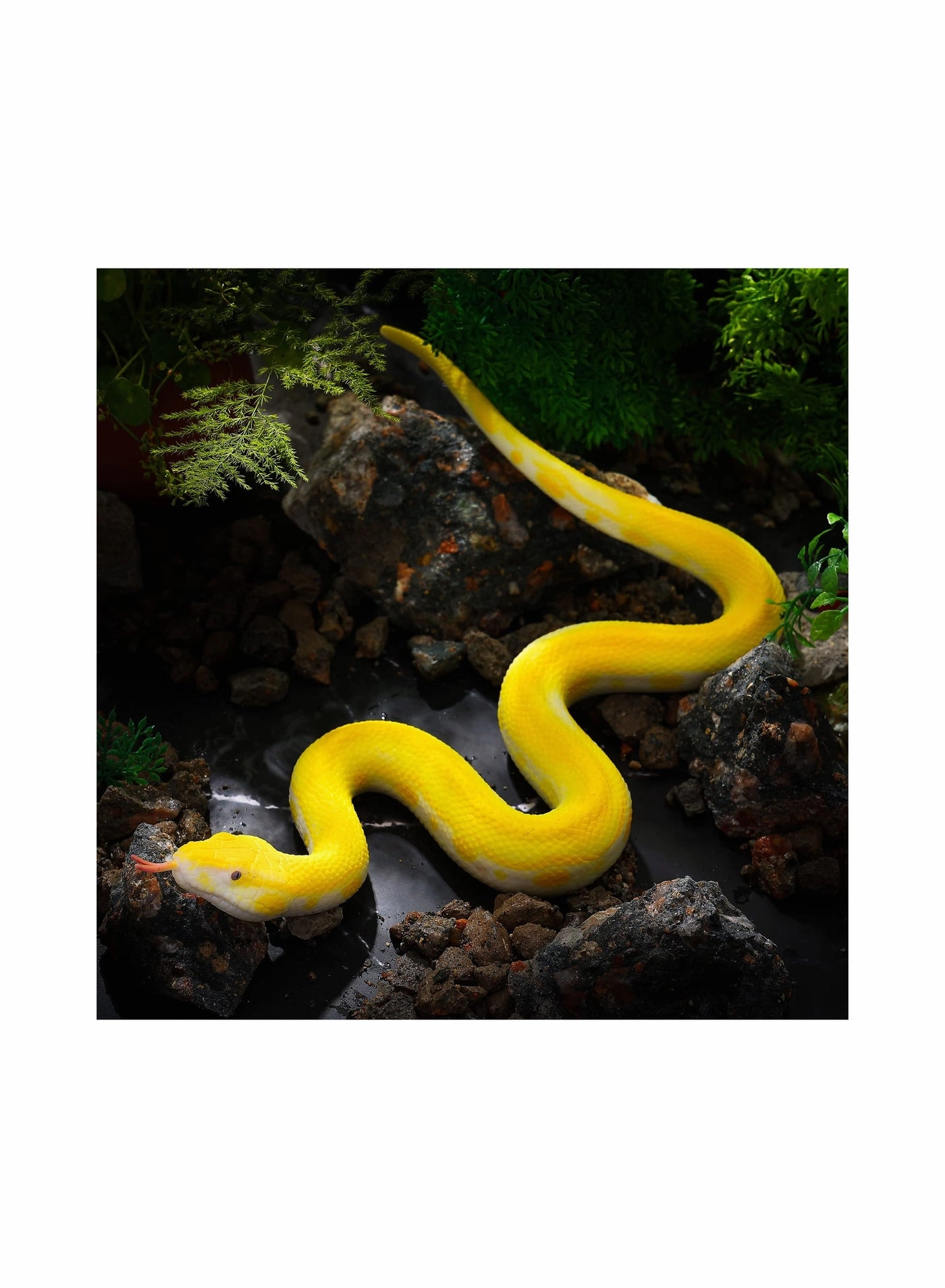 Realistic Snake Model - Python 2 pcs
