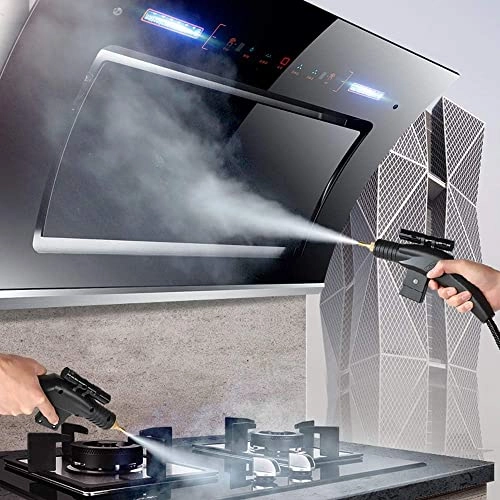 High Pressure Steam Cleaner - 5.0BAR