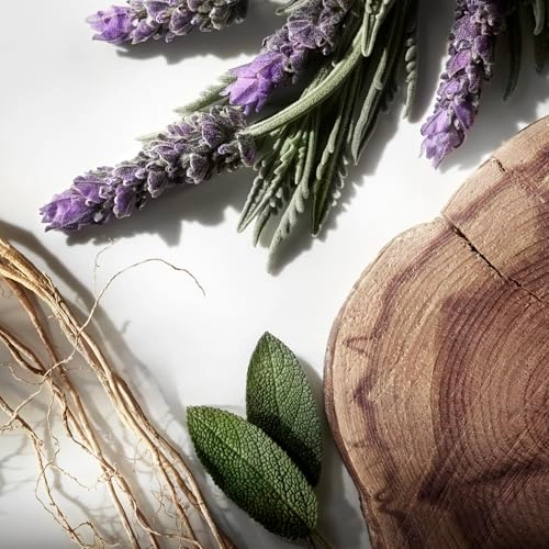 Ralph's Club Eau de Parfum 50ml