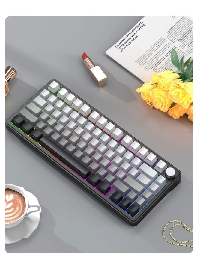 AK820PRO - EN Wired/Wireless