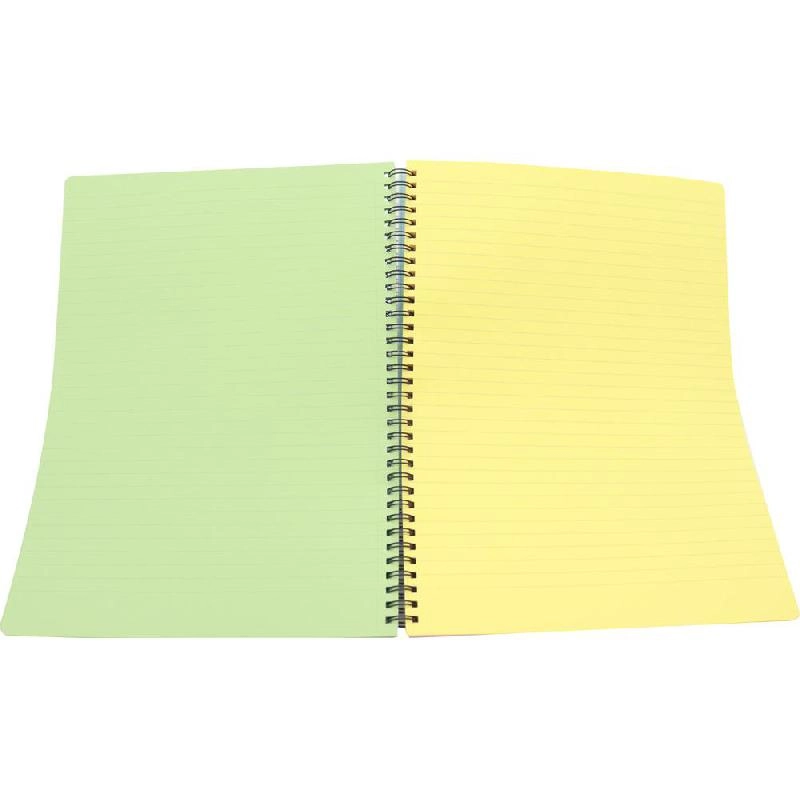 Notebook 19 X 26 cm Spiral - Grid 100 Sheets