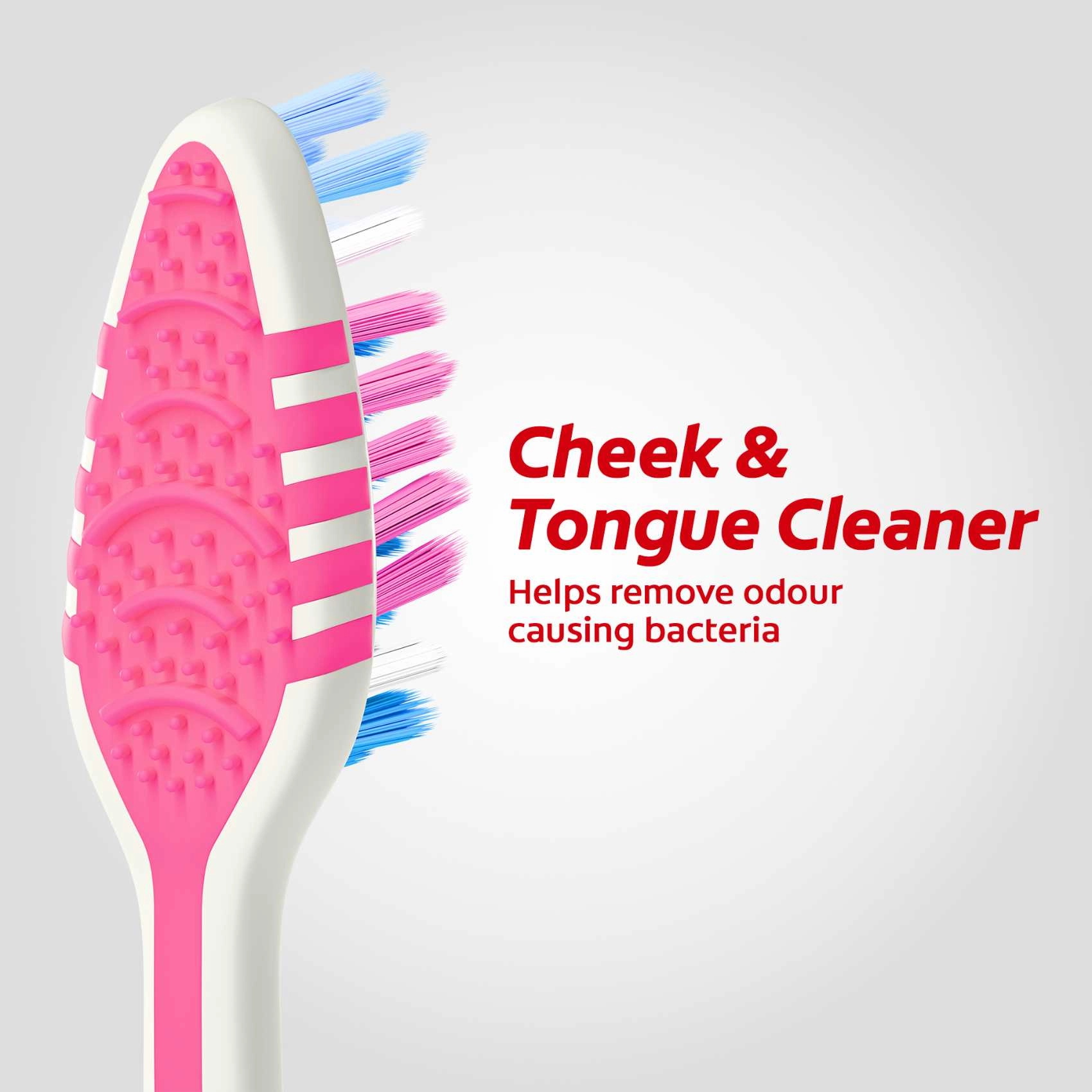 Zig Zag Deep Clean - Medium 3-Piece Pack