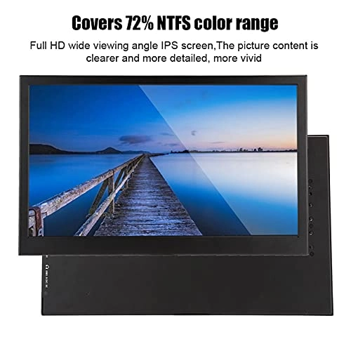 Portable Display - 1080P 15.6-inch