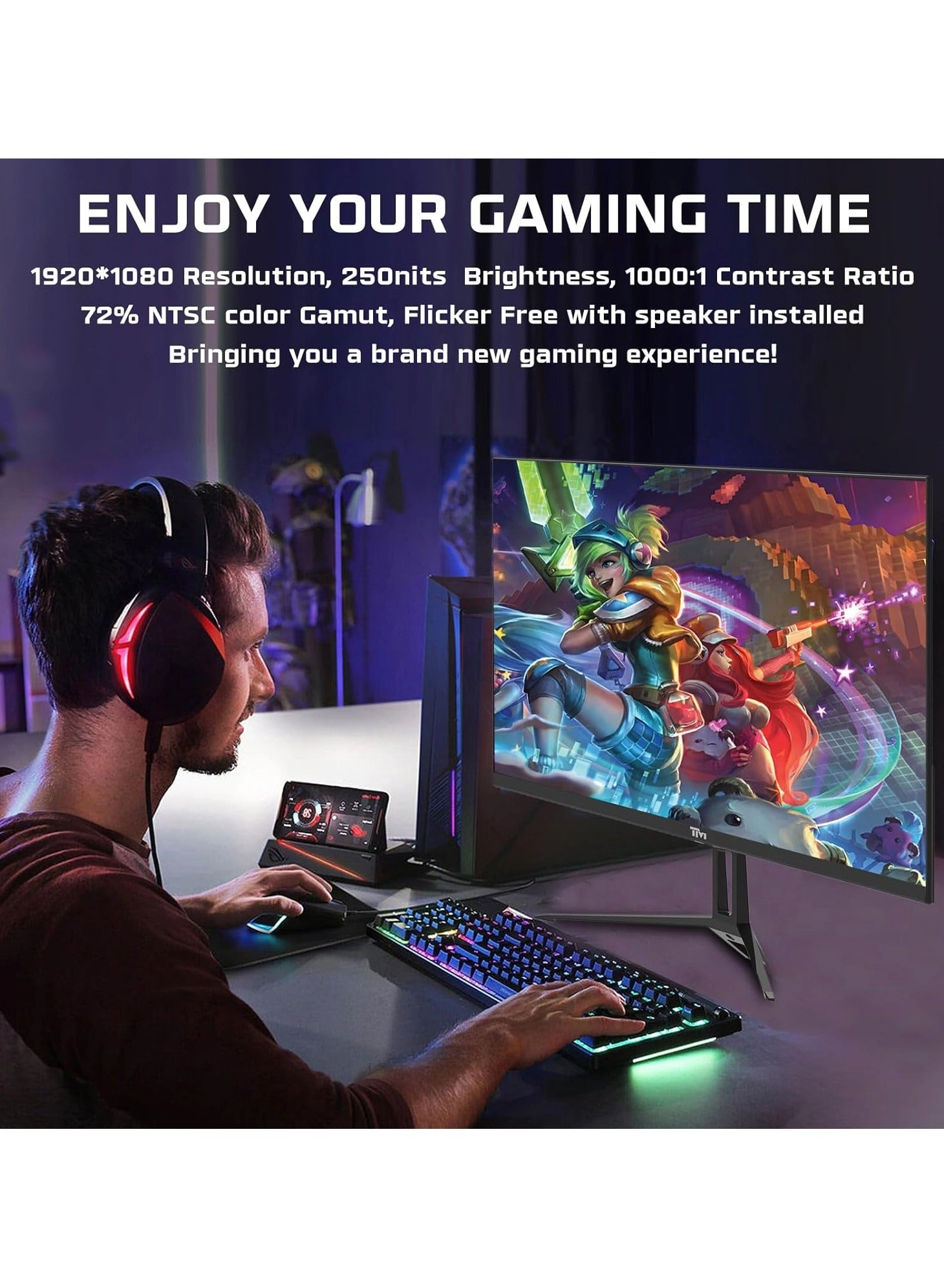 TM24FHD100IPS 90LM09M0-B01370 24-inch