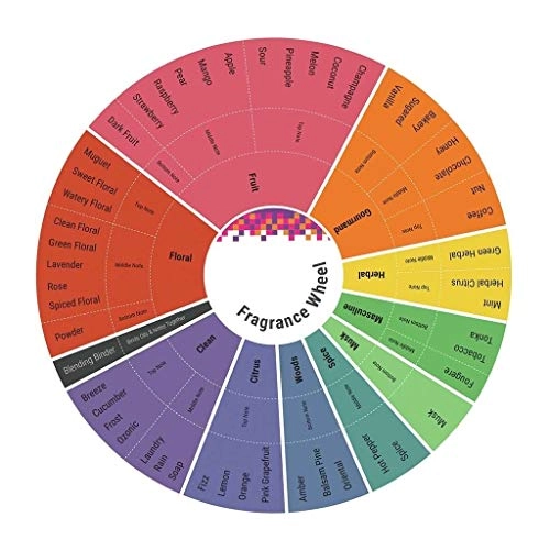 Bois De Vetiver - Eau de Toilette 100ml