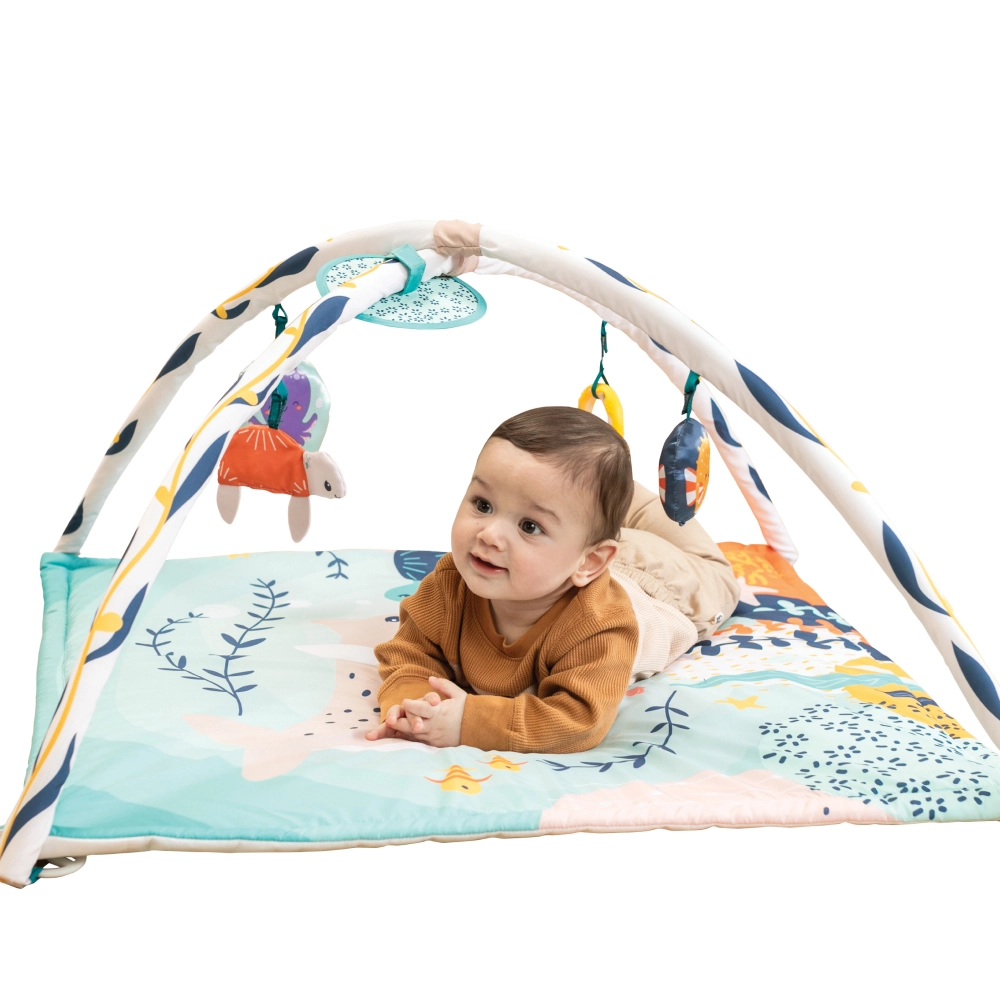 Watch Me Grow 3-in-1 Activity Gym - 0 month