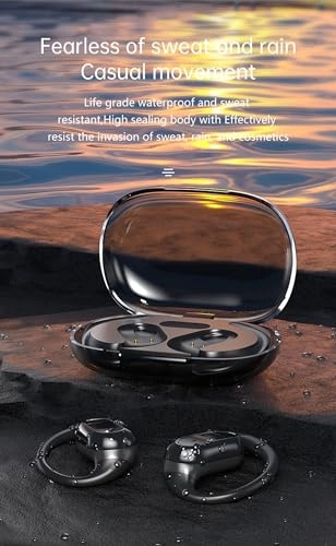 HEEARWI25 Wireless Earbud