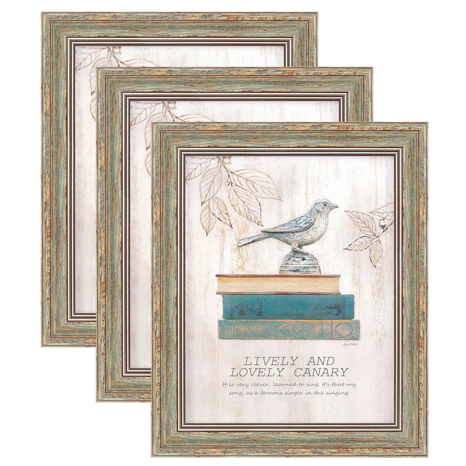 Picture Frames - 8 x 10 inch Pack