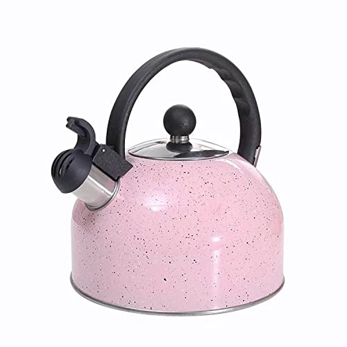 Stainless Steel Kettle - 2.5L