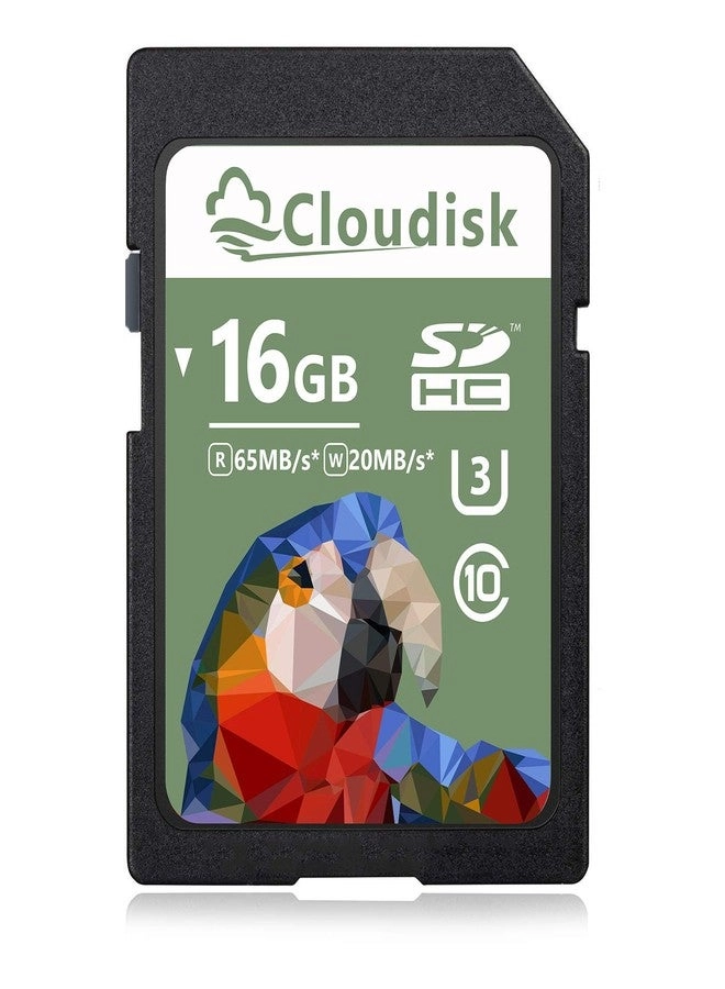 Cloudisk SD Card - 16GB