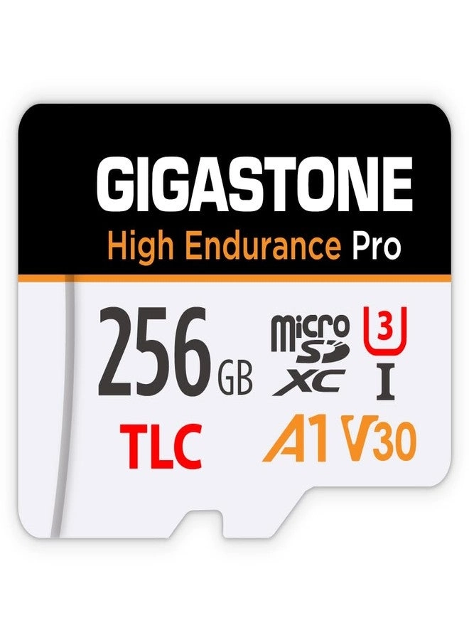 Micro SD Card - 256GB