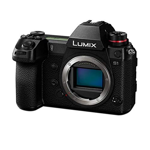 LUMIX S1