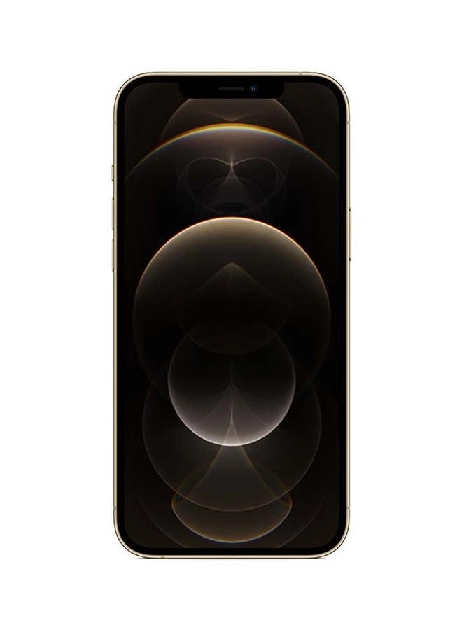 iPhone 12 Pro Max - 512GB