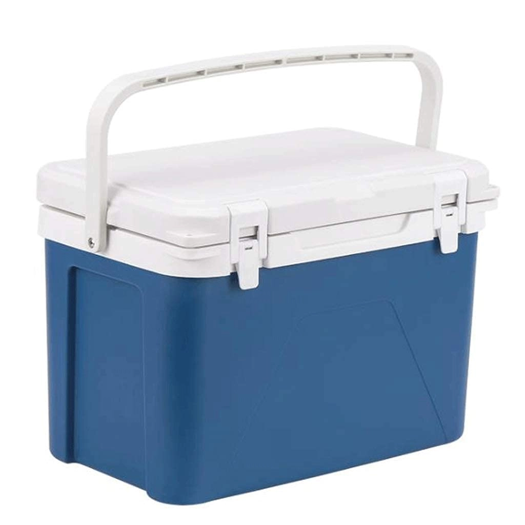 WJYLM Mini Fridge - 12L