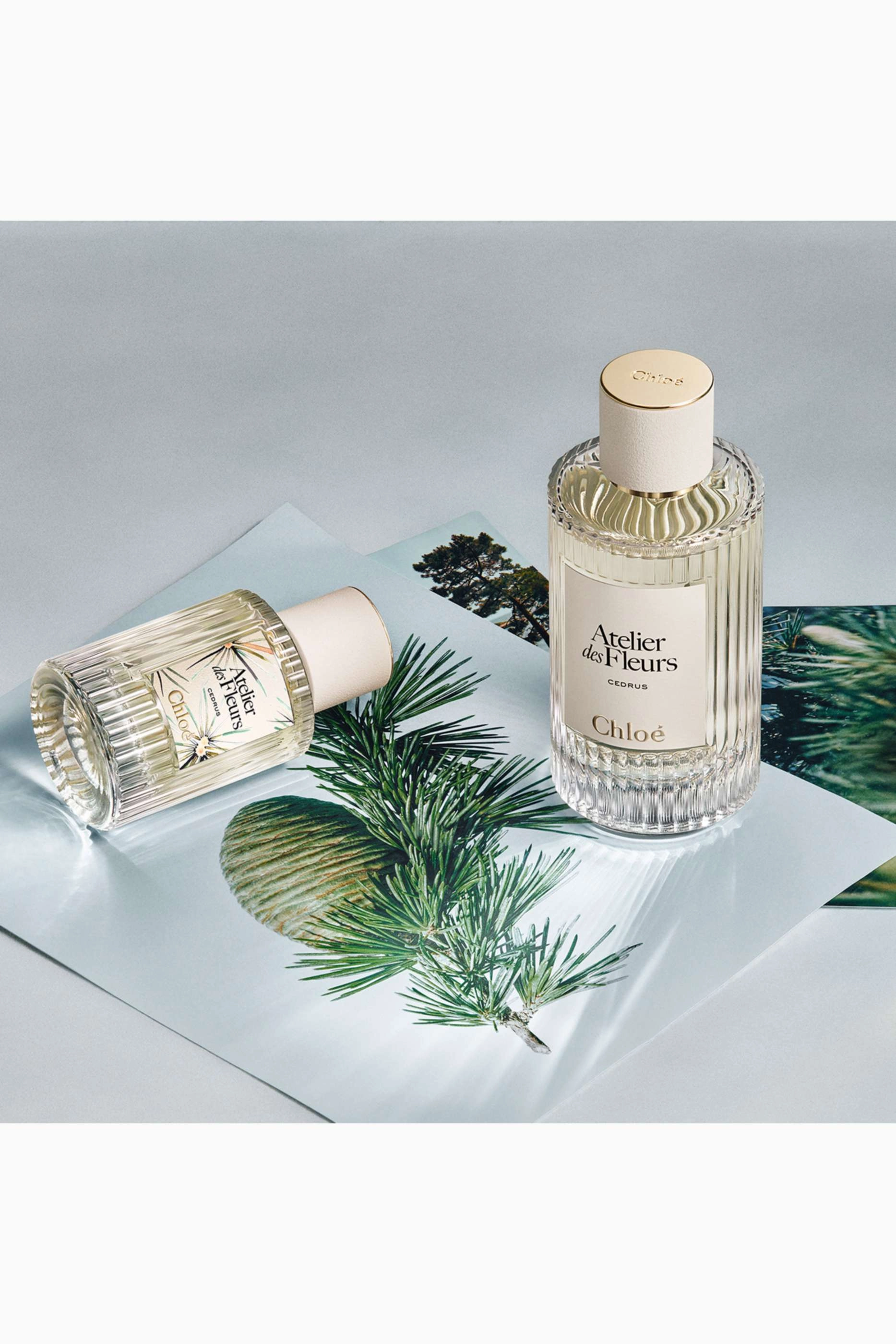 Atelier des Fleurs Cedrus Eau de Parfum 50 ml