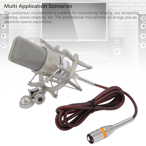 Jectse93mga5pdv2-12 XLR Microphone