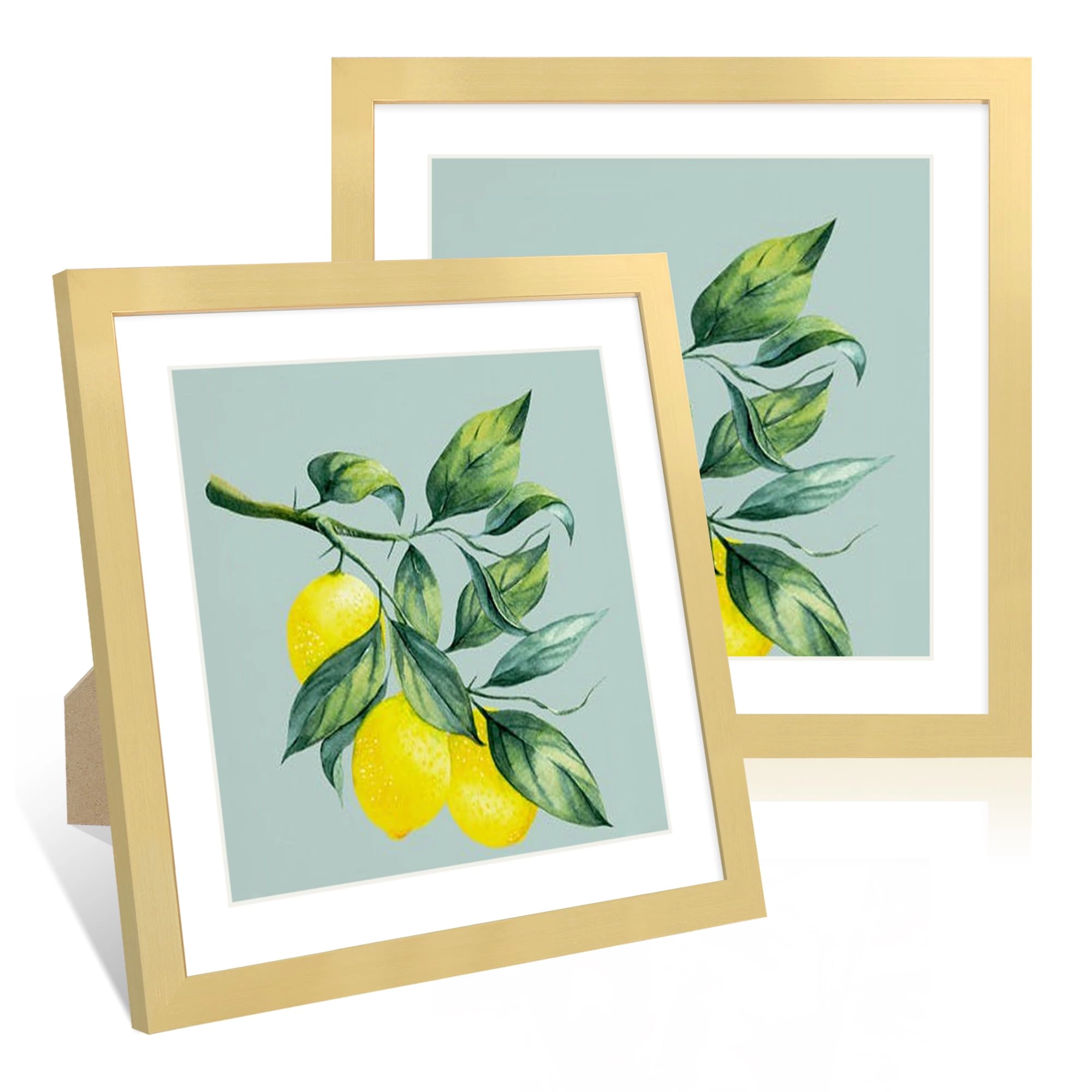 ccdcc 12x12 Picture Frame - 12x12