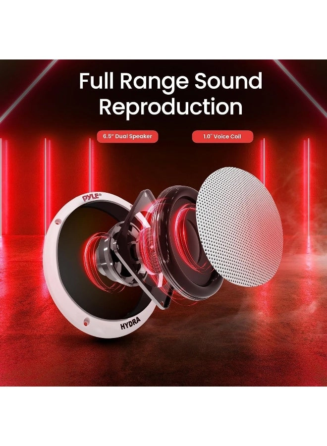 Marine Speakers - 65 Inch 200 Watt