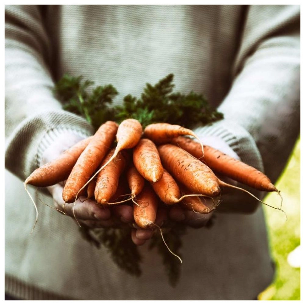 SLOW JUICER ADVANCED VITAL - 150 watts 800 Milliliters