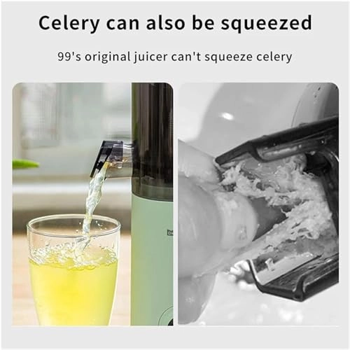 Portable Electric Juicer - Masticating Slow Auger Water-Free