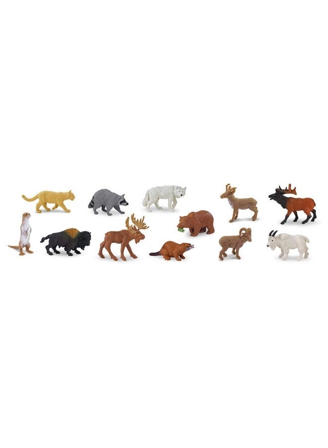 North American Wildlife TOOB - 3+ 12 pieces