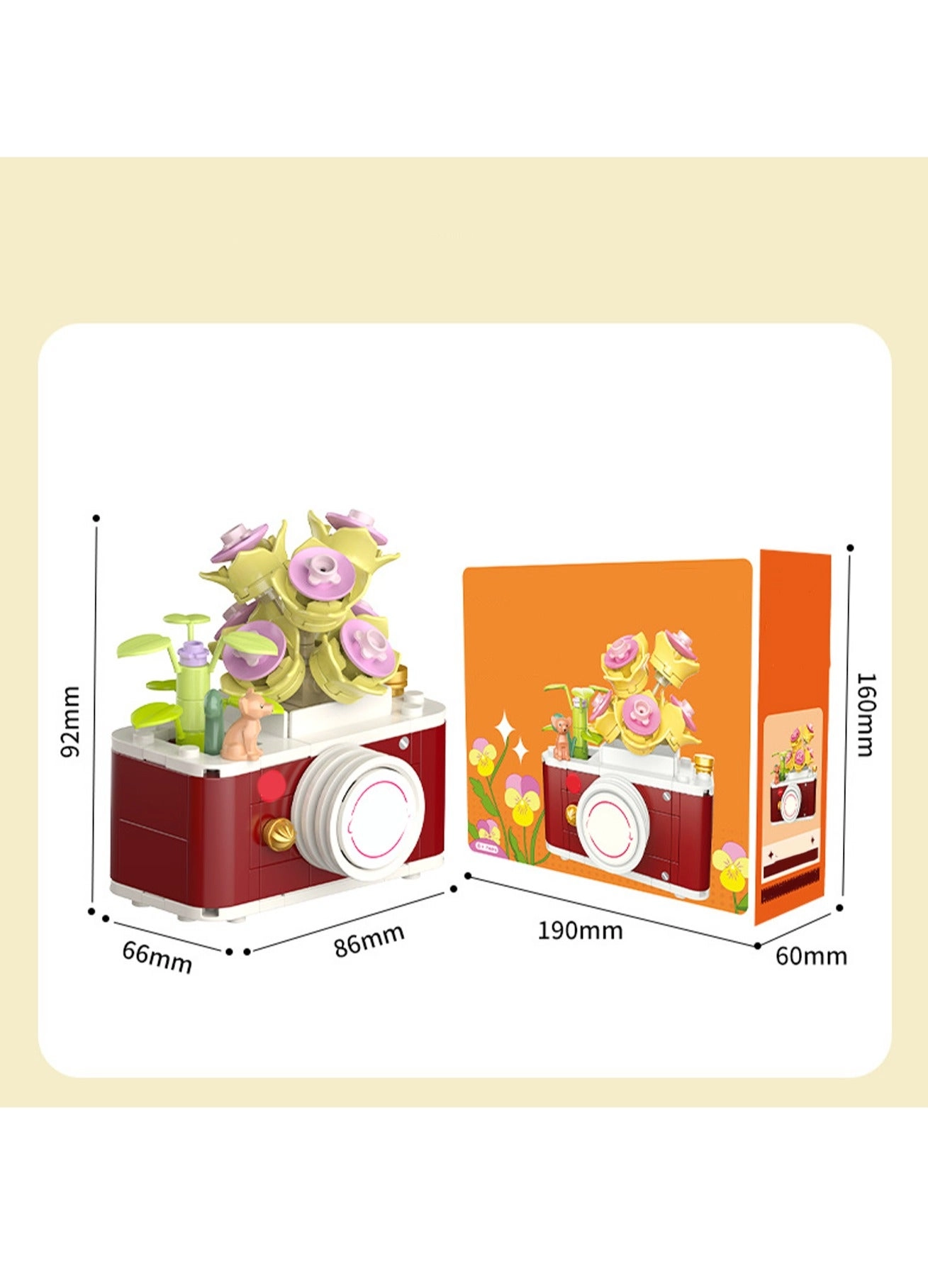 Camera Model Set