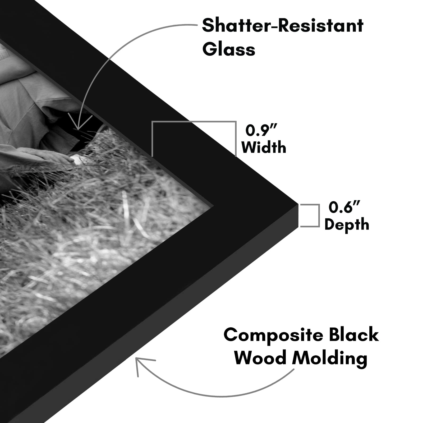 Set of 10 Picture Frames