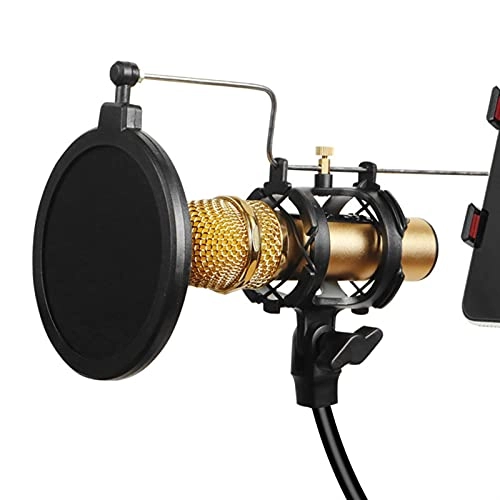 Mic Stand + Mic Clip Holder + Table Mounting Clamp + Pop Filter