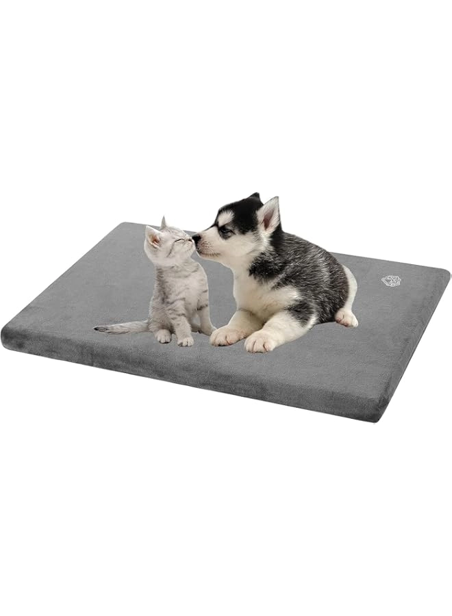 empsign Dog Bed - 61 * 41 * 5.8cm