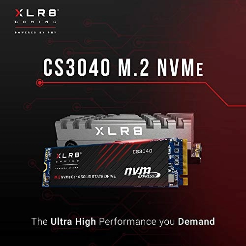 CS3040 - 500GB M 2