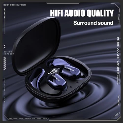 EBT209 Wireless Earbud