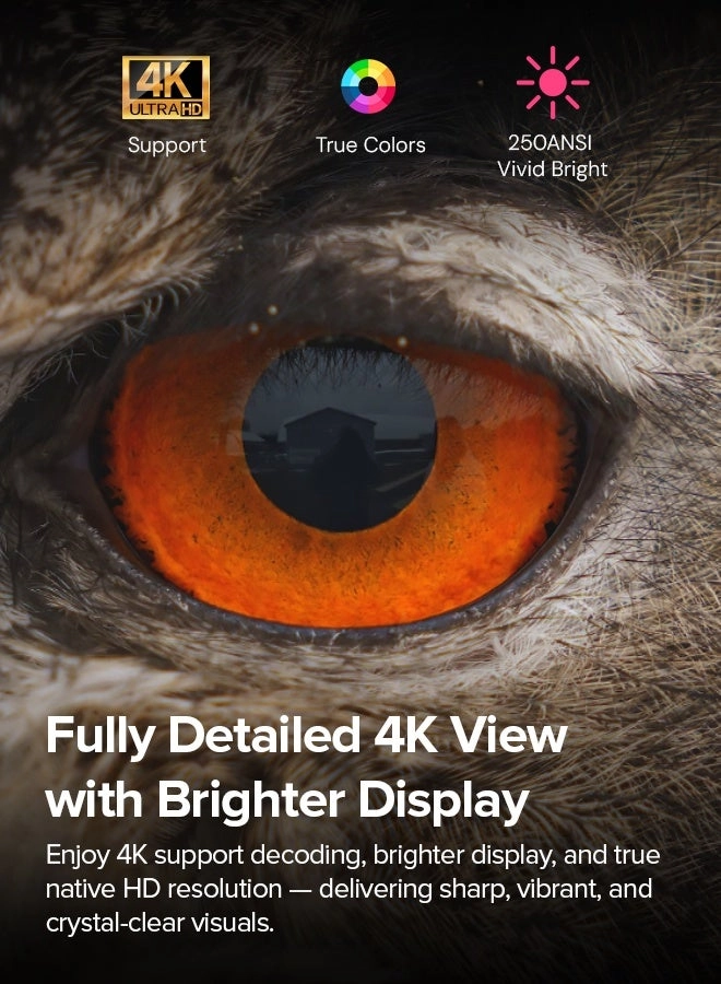 Smart 4K Max WO118AN 250 ANSI lumens